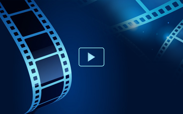 Bài thi thể dục đồng diễn của các em học sinh khối 2 trong Hội khỏe Phù Đổng năm học 2025 - 2026